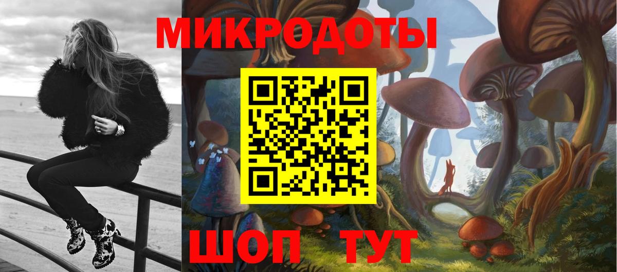 Северобайкальск  Псилоцибиновые грибы мухоморы  Псилоцибиновые грибы Psilocybine cubensis  Вход с VPN 
